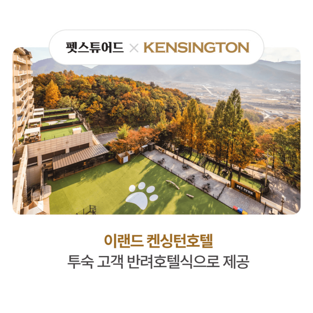펫스튜어드 × 이랜드 켄싱턴호텔