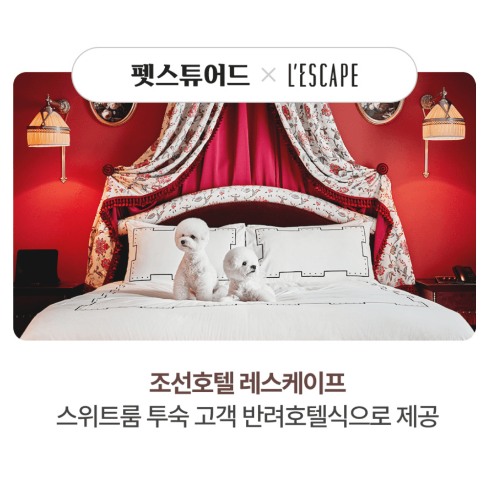 펫스튜어드 × 조선호텔 레스케이프